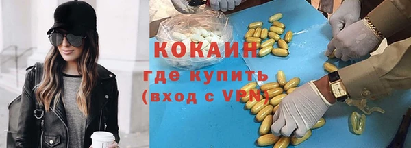 стаф Алзамай