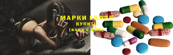 стаф Алзамай