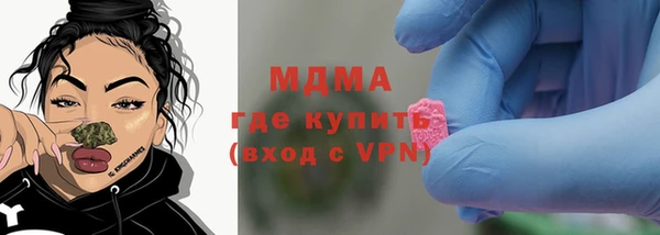 стаф Алзамай