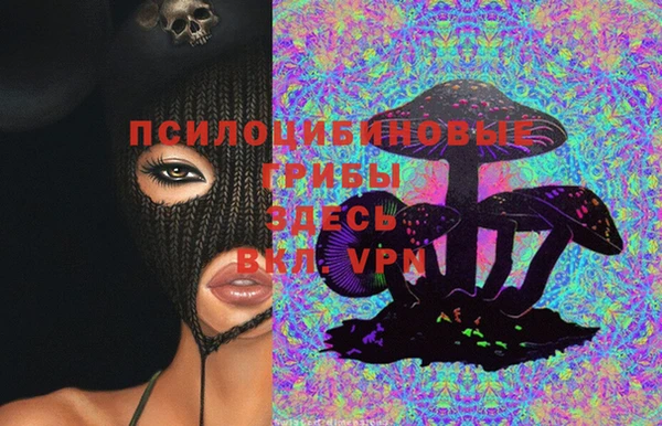 соль курить ск Нея