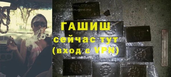 стаф Алзамай