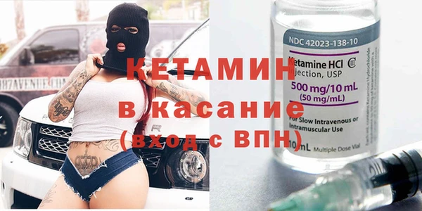 стаф Алзамай