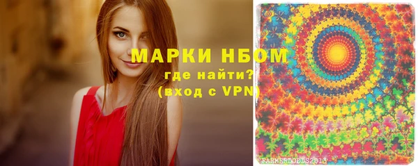 стаф Алзамай